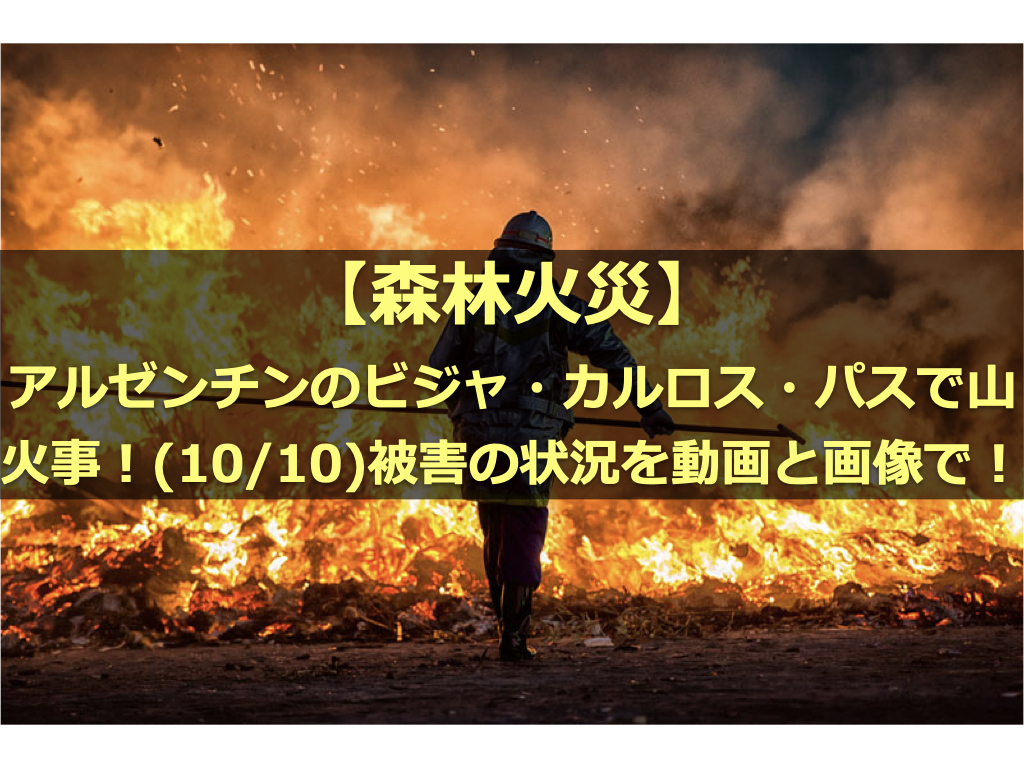 【森林火災】アルゼンチンのビジャ・カルロス・パスで山火事！(10/10)被害の状況を動画と画像で！｜ゆるログ